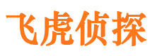 资阳区外遇出轨调查取证